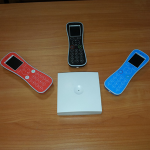 Внедрение беспроводной DECT IP системы телефонии для компании "МАН Трак энд Бас РУС"